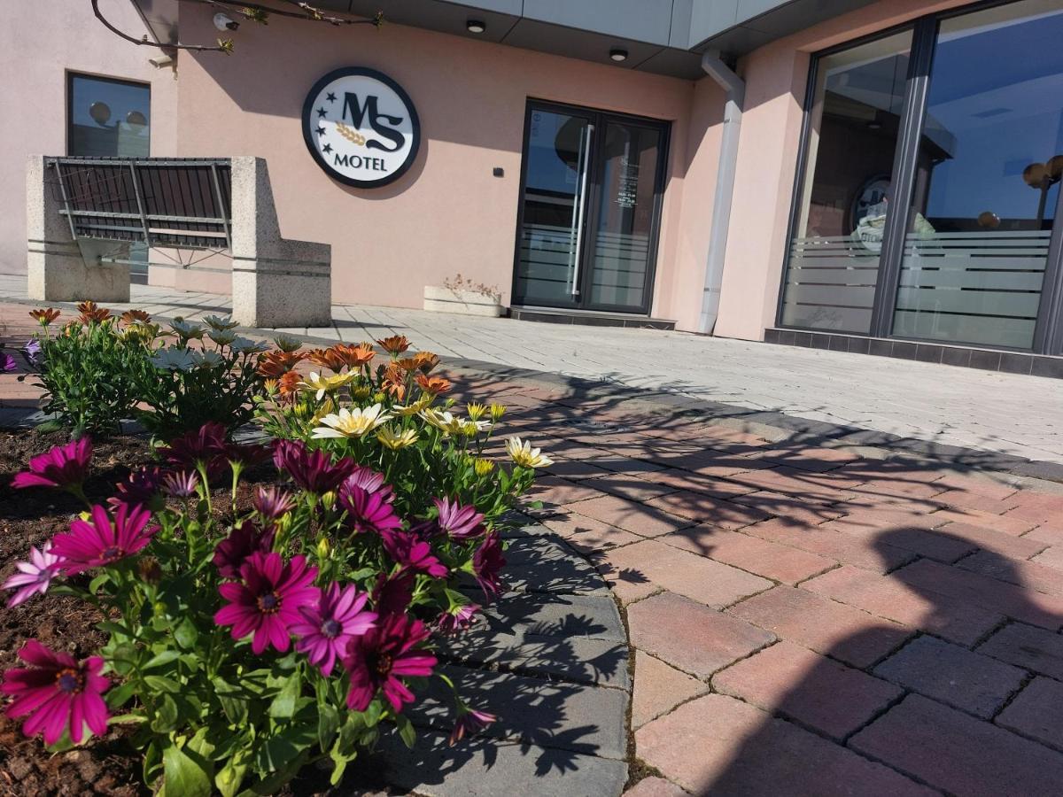 Motel Ms Srpski Itebej Eksteriør bilde